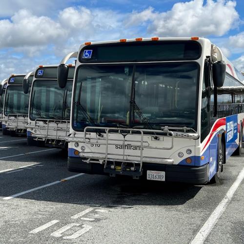 Front view of a row of SamTrans buses